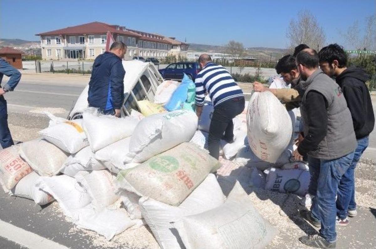 Kazayı Bırakıp &Ccedil;ekirdek Yediler