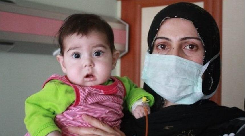 Ge&ccedil; Bulunan İlik Elif'i Kurtaramadı