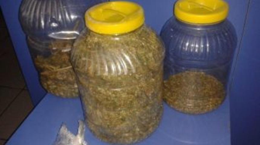 Trabzon&rsquo;da Uyuşturucu Operasyonları