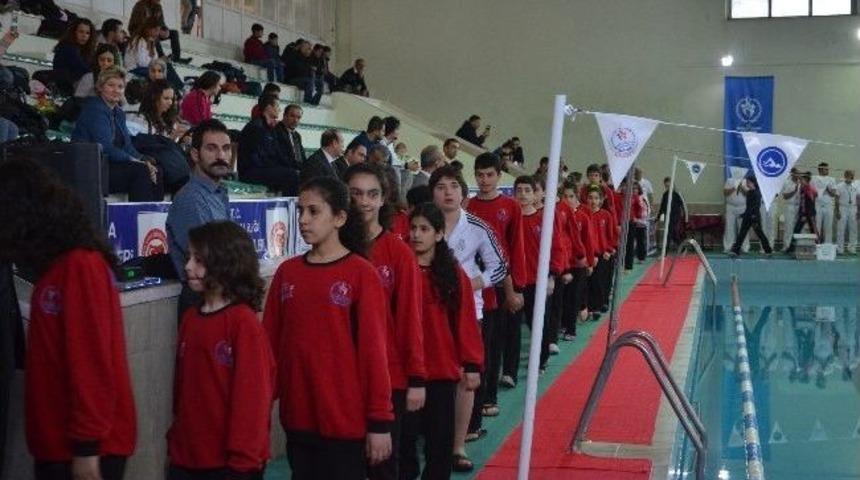 Anadolu Yıldızları Ligi