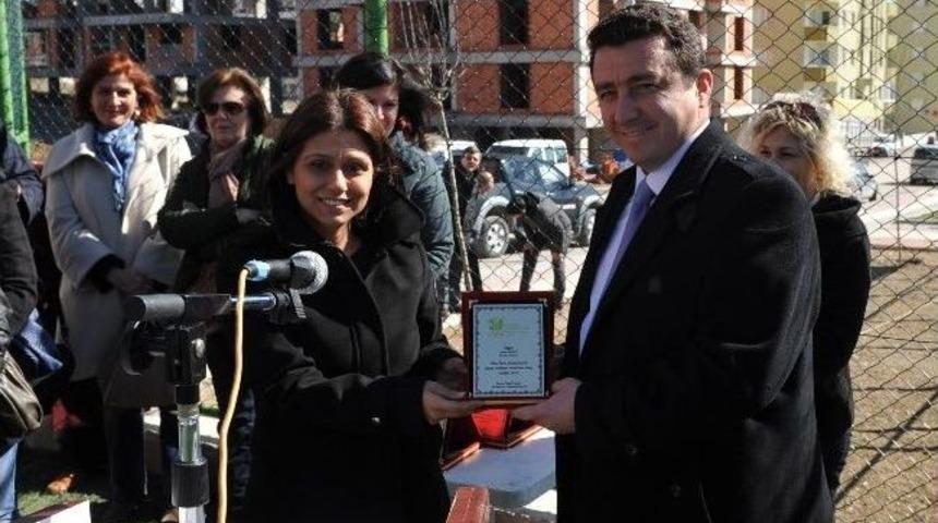 Gen&ccedil;lik Parkı Ve Cazibe Merkezi&rsquo;ne Fidan Dikildi