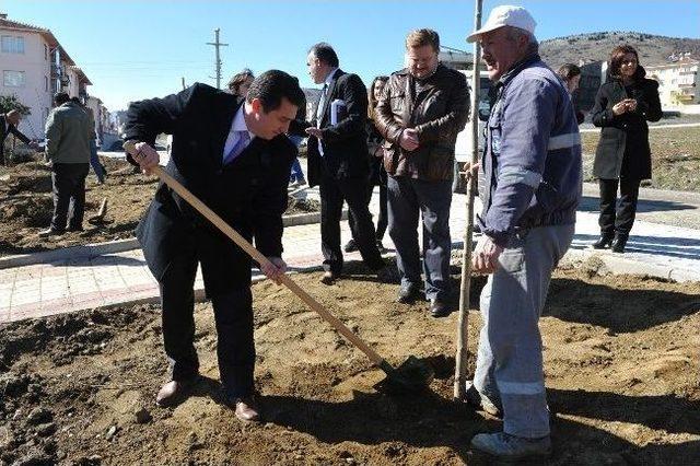 Gençlik Parkı Ve Cazibe Merkezi’ne Fidan Dikildi