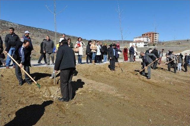 Gençlik Parkı Ve Cazibe Merkezi’ne Fidan Dikildi