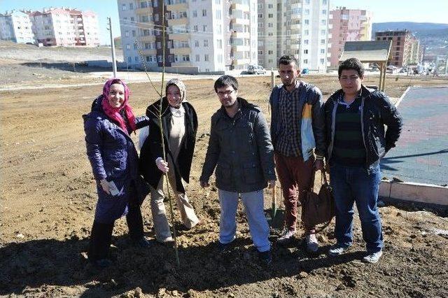 Gençlik Parkı Ve Cazibe Merkezi’ne Fidan Dikildi