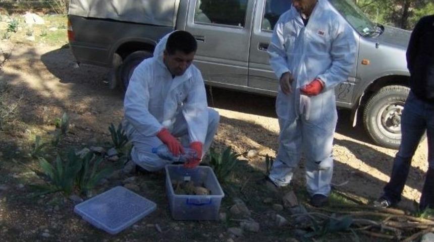 Kktc Orman Memurlarına Mersin'de Uygulamalı Eğitim Verildi