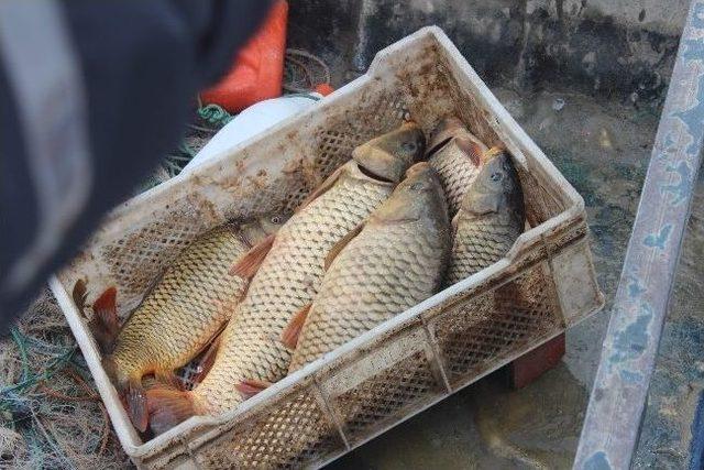 Beyşehir Gölünde Balıkçılar Ava ‘paydos’ Dedi 3