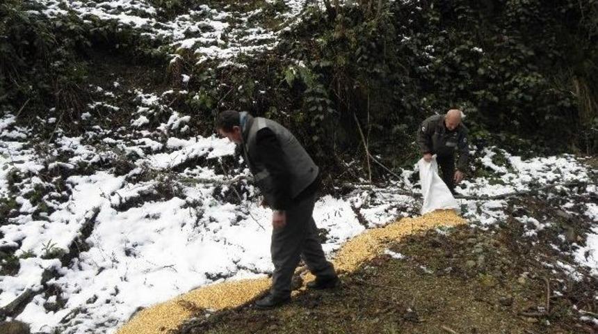 Yaban Hayvanları İ&ccedil;in Doğaya Yem Bırakıldı