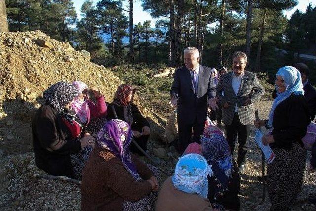 Chp Büyükşehir Belediye Başkan Adayı Yıldıray Arıkan Aladağ’da