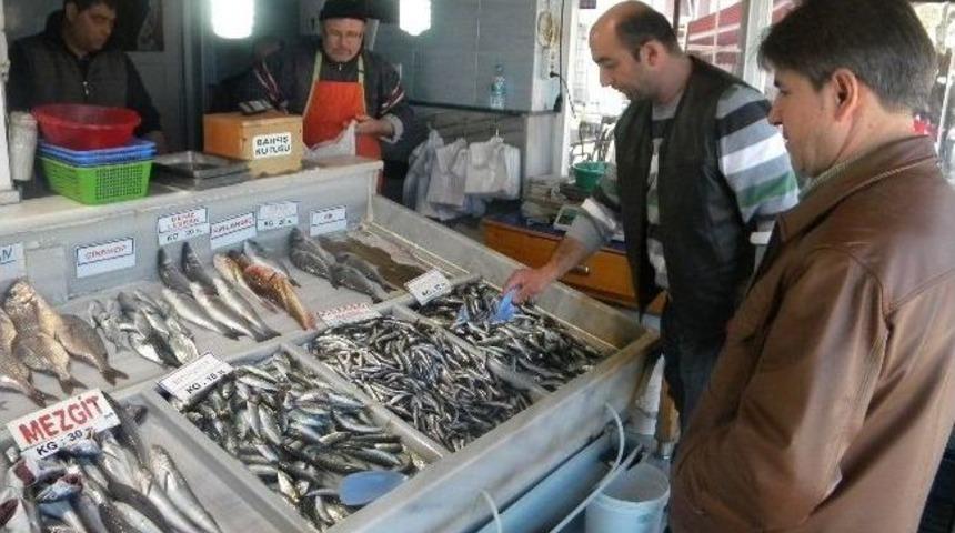 Balık Fiyatları Tekirdağ'da El Yakıyor