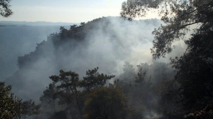 Sezonun İlk Yangını G&ouml;kova K&ouml;rfezi&rsquo;nde &Ccedil;ıktı