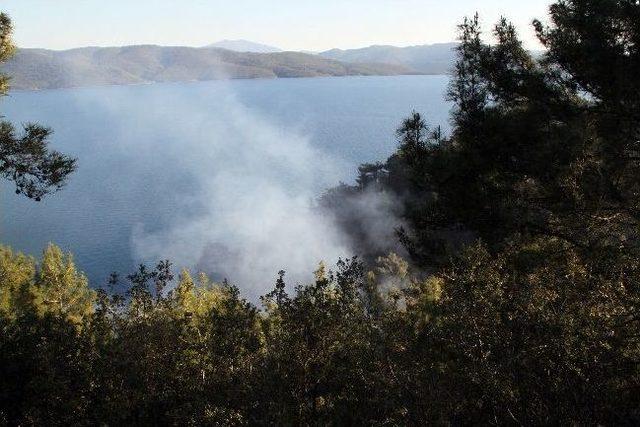 Sezonun İlk Yangını Gökova Körfezi’nde Çıktı