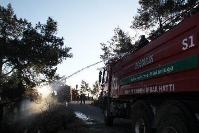 Sezonun İlk Yangını Gökova Körfezi’nde Çıktı