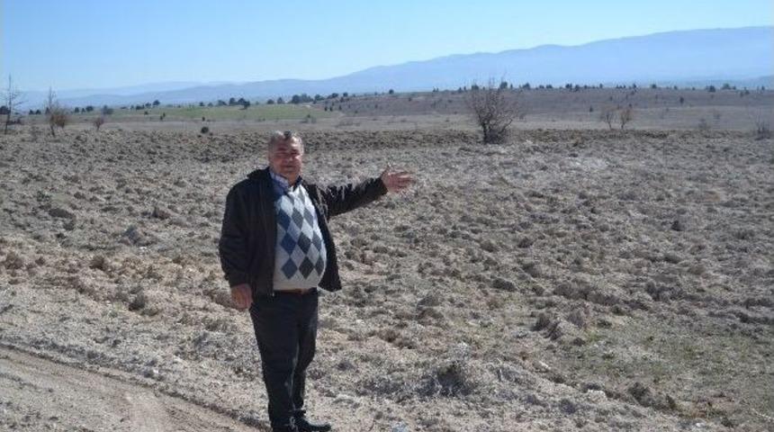 Uşak'ta K&ouml;yl&uuml;n&uuml;n Mera Sıkıntısı