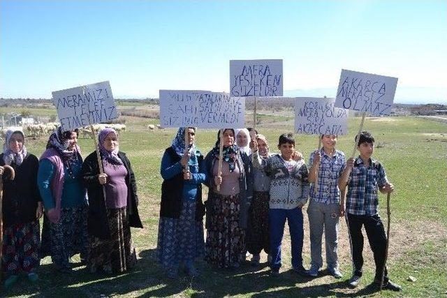 Uşak ta Köylünün Mera Sıkıntısı 1