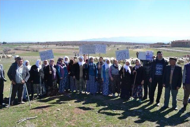 Uşak ta Köylünün Mera Sıkıntısı 2