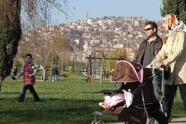 Kocaeli'ye Bahar Erken Geldi