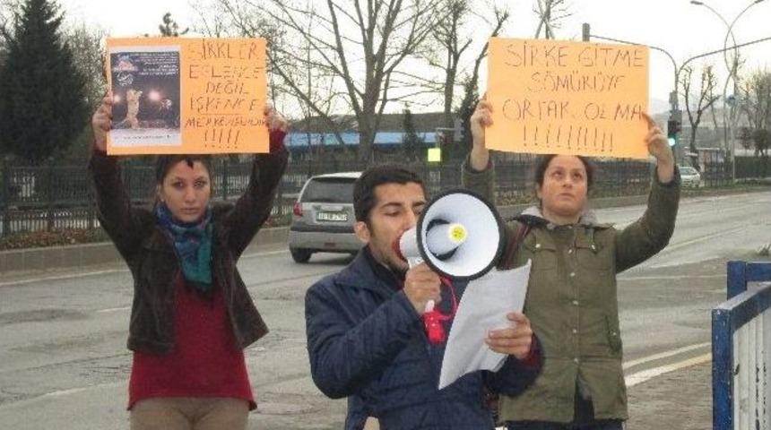 Hayvan Hakları G&ouml;n&uuml;ll&uuml;lerinden 3 Kişilik Eylem