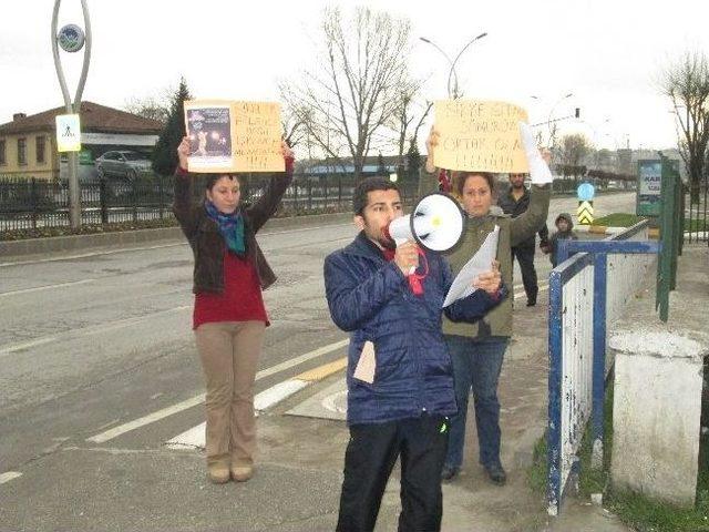 Hayvan Hakları Gönüllülerinden 3 Kişilik Eylem