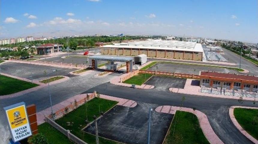 Avrupa&rsquo;nın En Modern Hayvan Pazarı Konya&rsquo;da