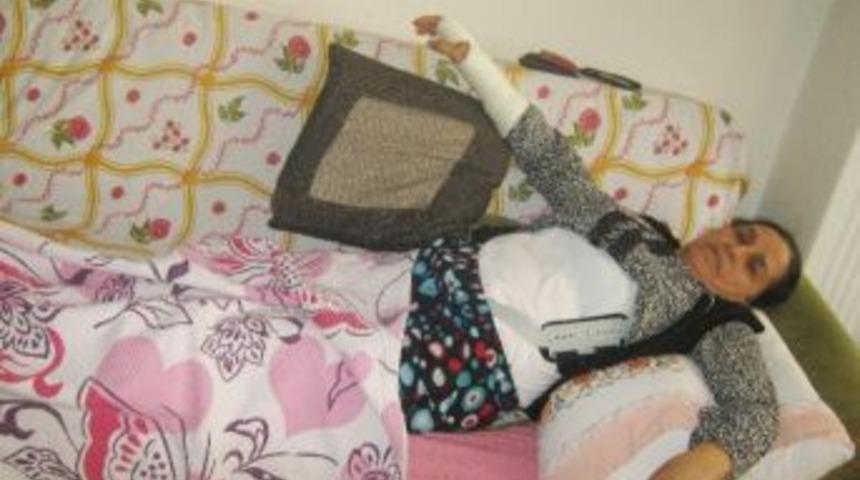 Sokak K&ouml;pekleri Y&uuml;r&uuml;y&uuml;ş Yapan Kadına Saldırdı