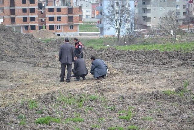 Tekirdağ da İntihar 1