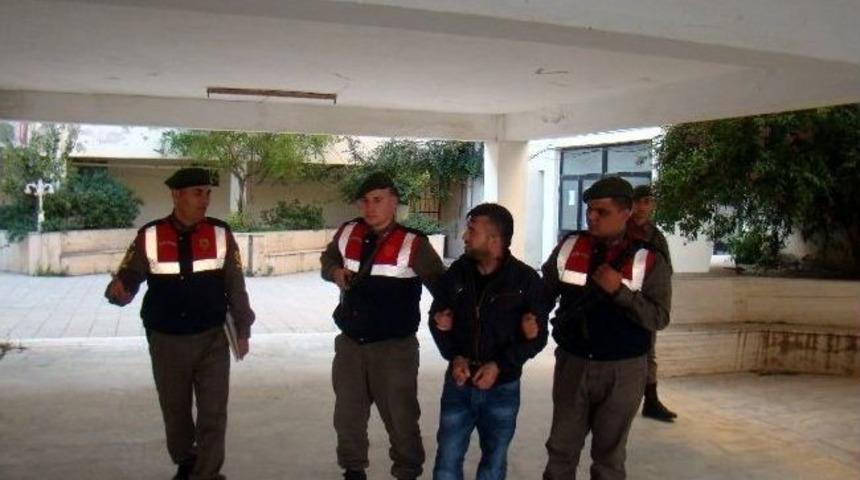 İki Ka&ccedil;ağın &Ouml;l&uuml;m&uuml;ne Neden Olan Organizat&ouml;r Tutuklandı