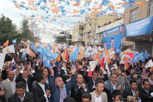 Bakan Çelik, Ceylanpınar İlçesinde Açılışlara Katıldı