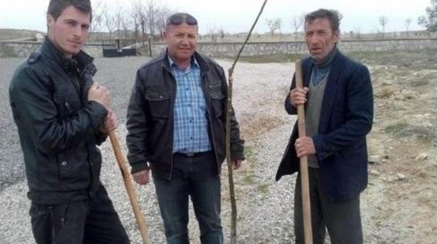 Kulu&rsquo;da 600 Fidan Toprakla Buluşuyor