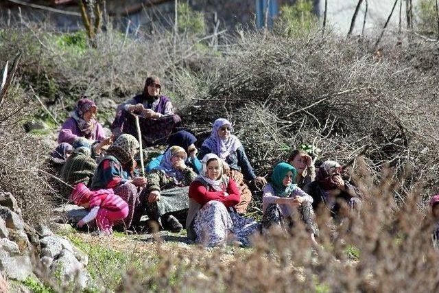 (özel Haber) Kayıp Çocuğu Çobanlar Buldu