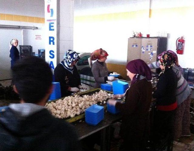 Aü Öğrencileri Korkuteli nde Kompost Tesisini Gezdi 1