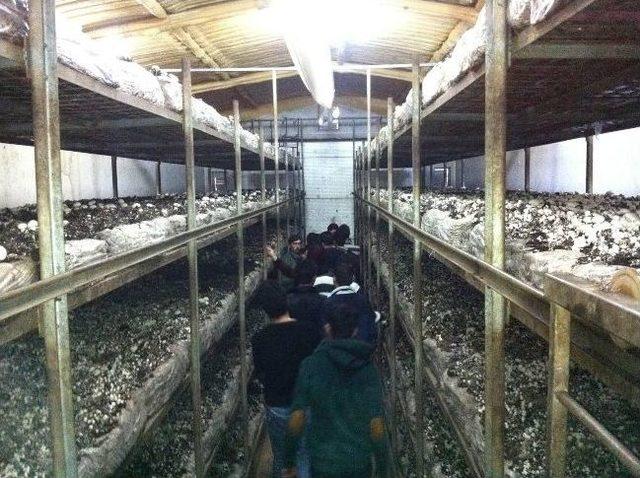 Aü Öğrencileri Korkuteli nde Kompost Tesisini Gezdi 2