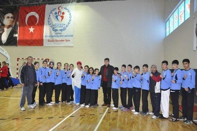 Analig Taekwondo M&uuml;sabakalarında Kayseri Takımları Finalde 1