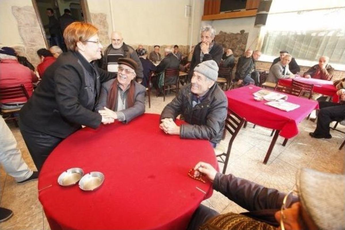 Chp'li Pektaş'tan "&ccedil;ılgın Proje" &Ccedil;ıkışı