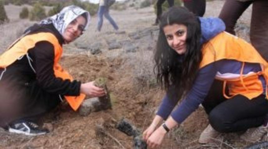 Dp&uuml;'l&uuml; &Ouml;ğrenciler Fidan Dikti