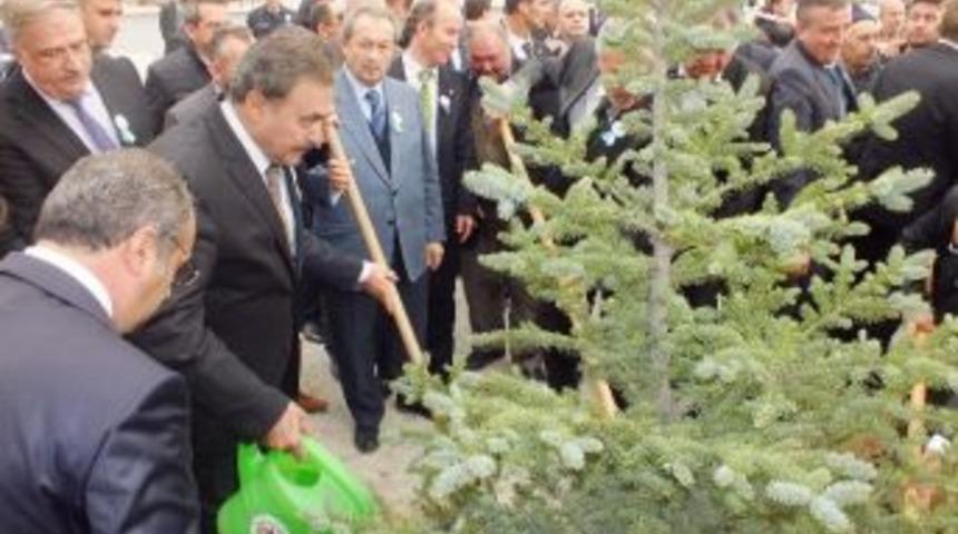 Bakan Eroğlu: "k&uuml;tahya&rsquo;ya 10 Yılda 76 Milyon Fidan Diktik"