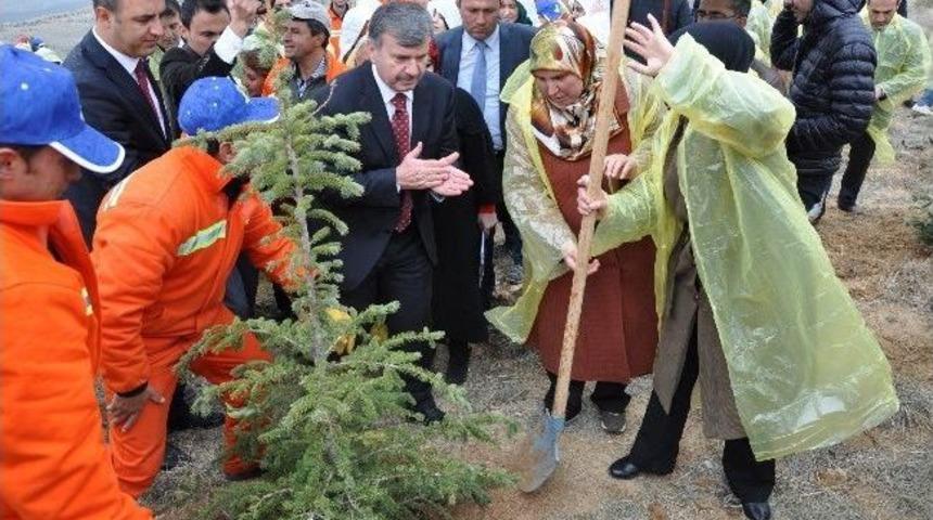 Konya&rsquo;da 100 Bin Fidan Toprakla Buluştu