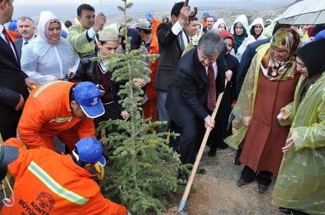 Konya’da 100 Bin Fidan Toprakla Buluştu