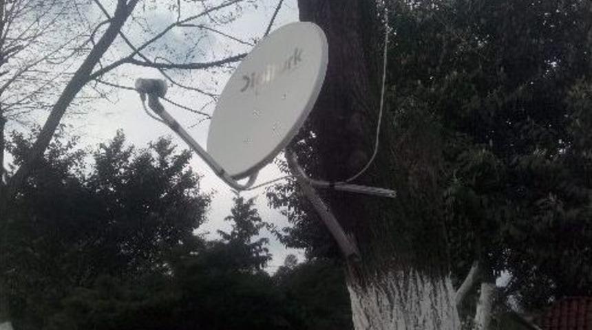 Teknolojinin Doğa İle Buluşması