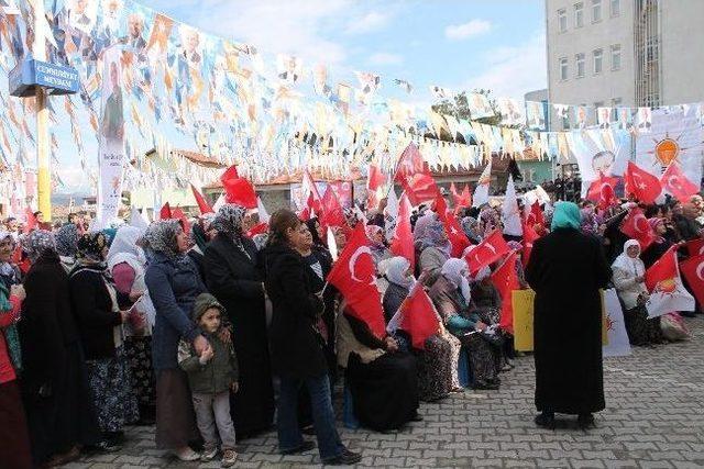 Ak Parti Vezirköprü Mitingi