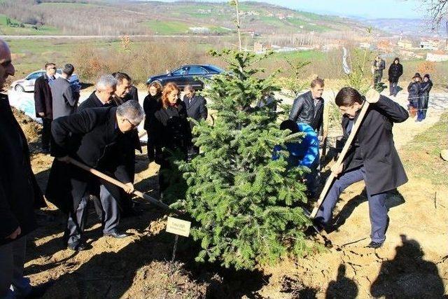 Bartın'da Fidan Dikimi Yapıldı