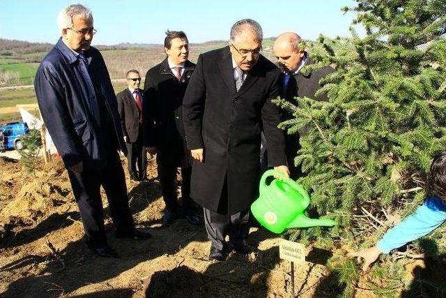 Bartın'da Fidan Dikimi Yapıldı