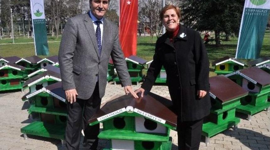 Osmangazi&rsquo;den &ldquo;kedi Evleri&rdquo;