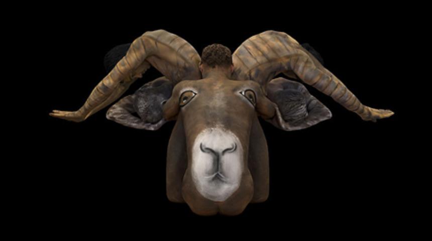 Harika bir v&uuml;cut boyama &ccedil;alışması!