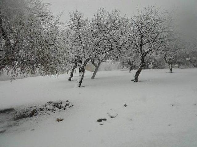 Adilcevaz&rsquo;da Kar Yağışı 2