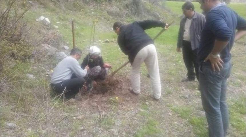 Dalaman&rsquo;da 4 Adet Badem Bah&ccedil;eleri Tesis Edildi
