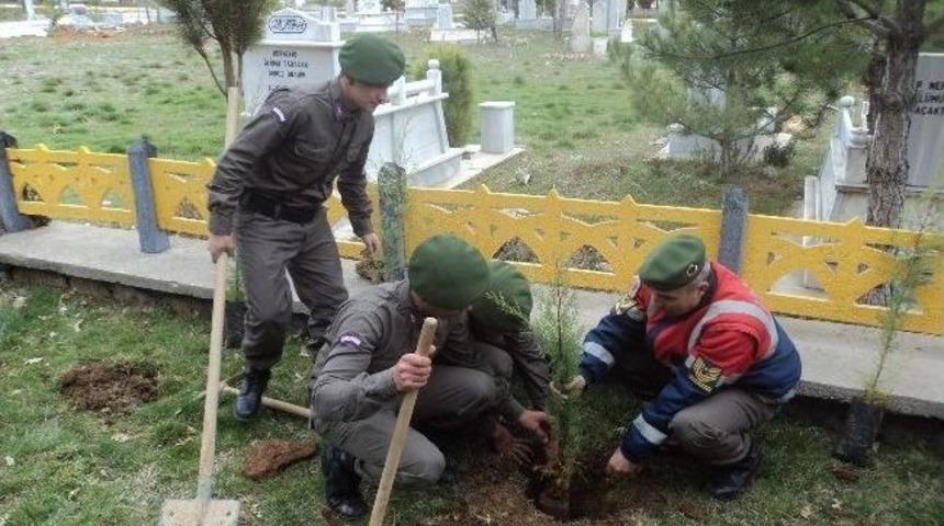 Jandarmadan Şehitler Anısına Fidan