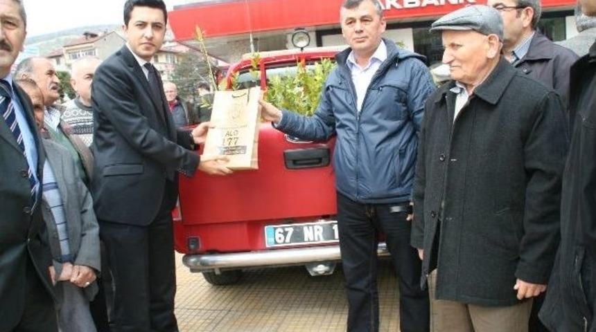 Devrek'te, Vatandaşlara Fidan Dağıtımı Yapıldı