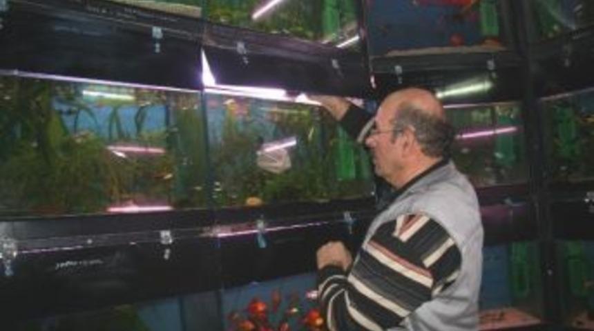 Sakarya'da 20 Pet Shop Denetlendi