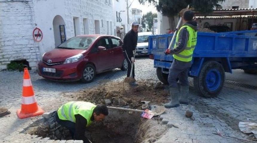 Fen İşleri &Ccedil;alışıyor, Bodrum Yenileniyor