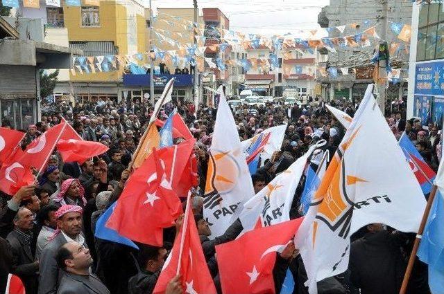 Bakan &Ccedil;elik, Ak&ccedil;akale de Se&ccedil;im B&uuml;rosu A&ccedil;tı 3